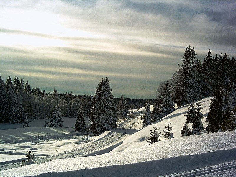 Šumava na běžkách